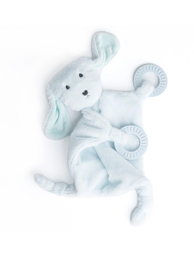 Bella Tunno Teether Buddy Danny the Dog