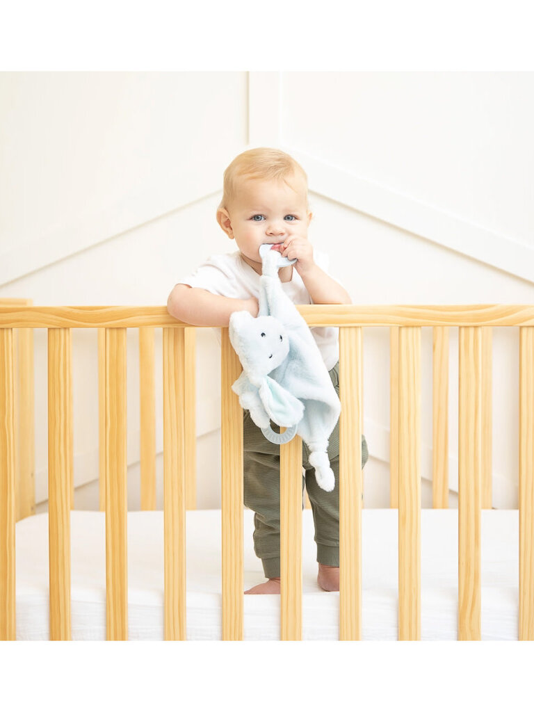 Bella Tunno Teether Buddy Danny the Dog