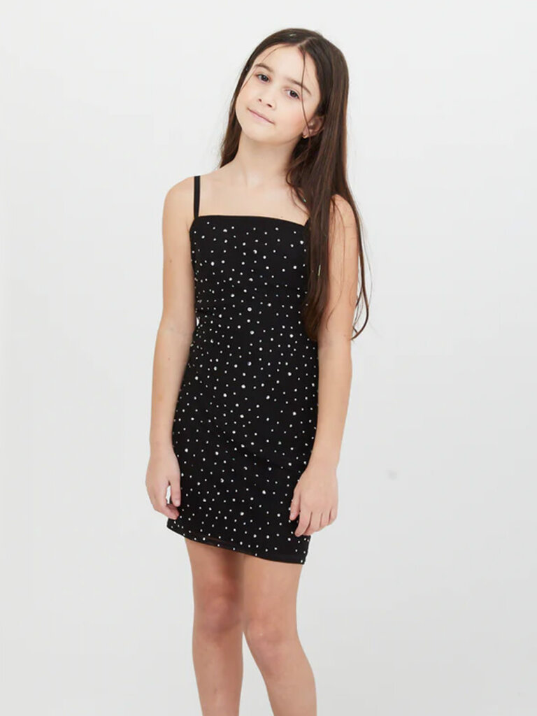 THEME Brooke Black Rhinestone Mesh Dress