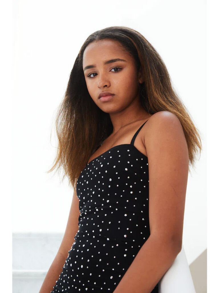 THEME Brooke Black Rhinestone Mesh Dress
