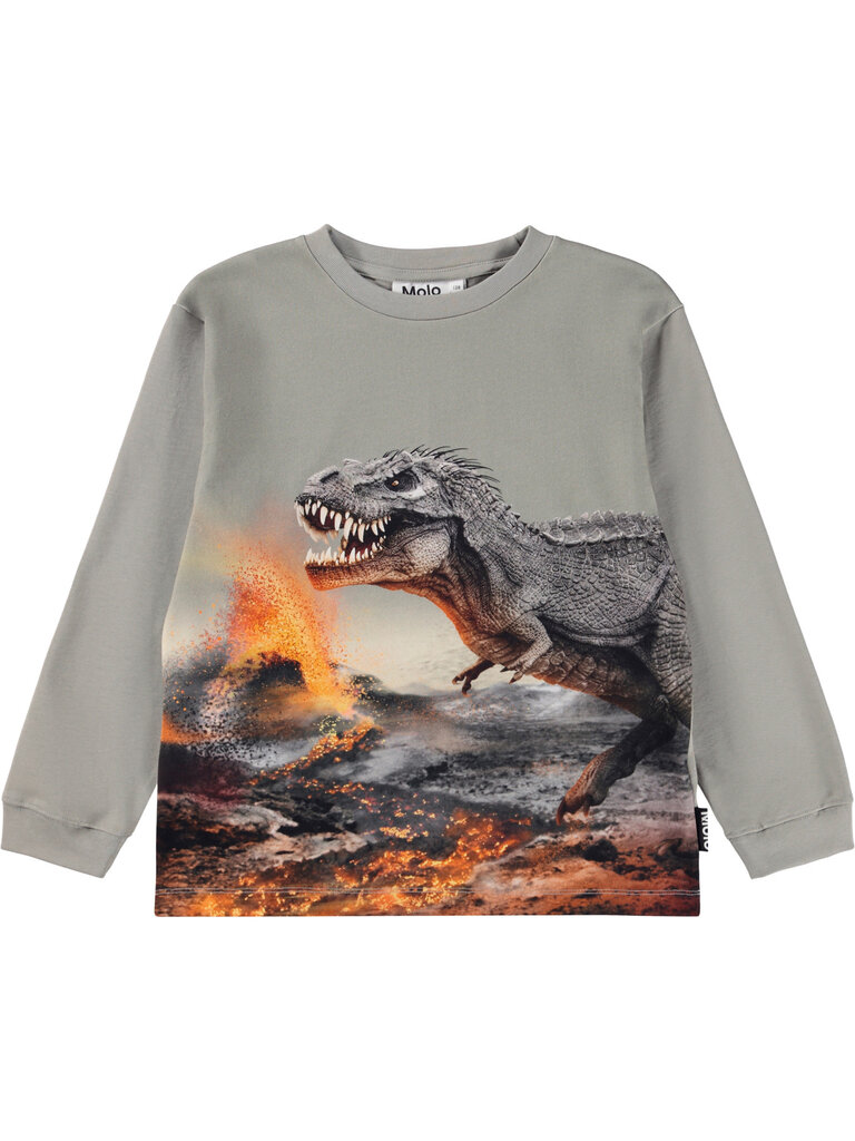Molo Rube - Dinosaur Fog
