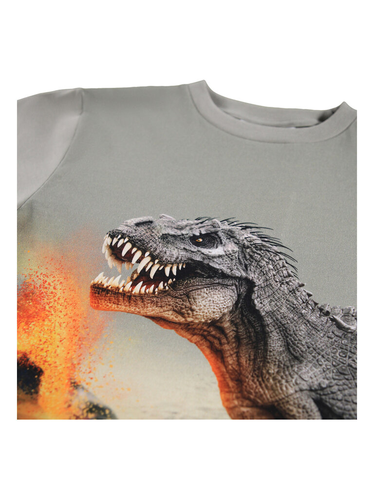 Molo Rube - Dinosaur Fog