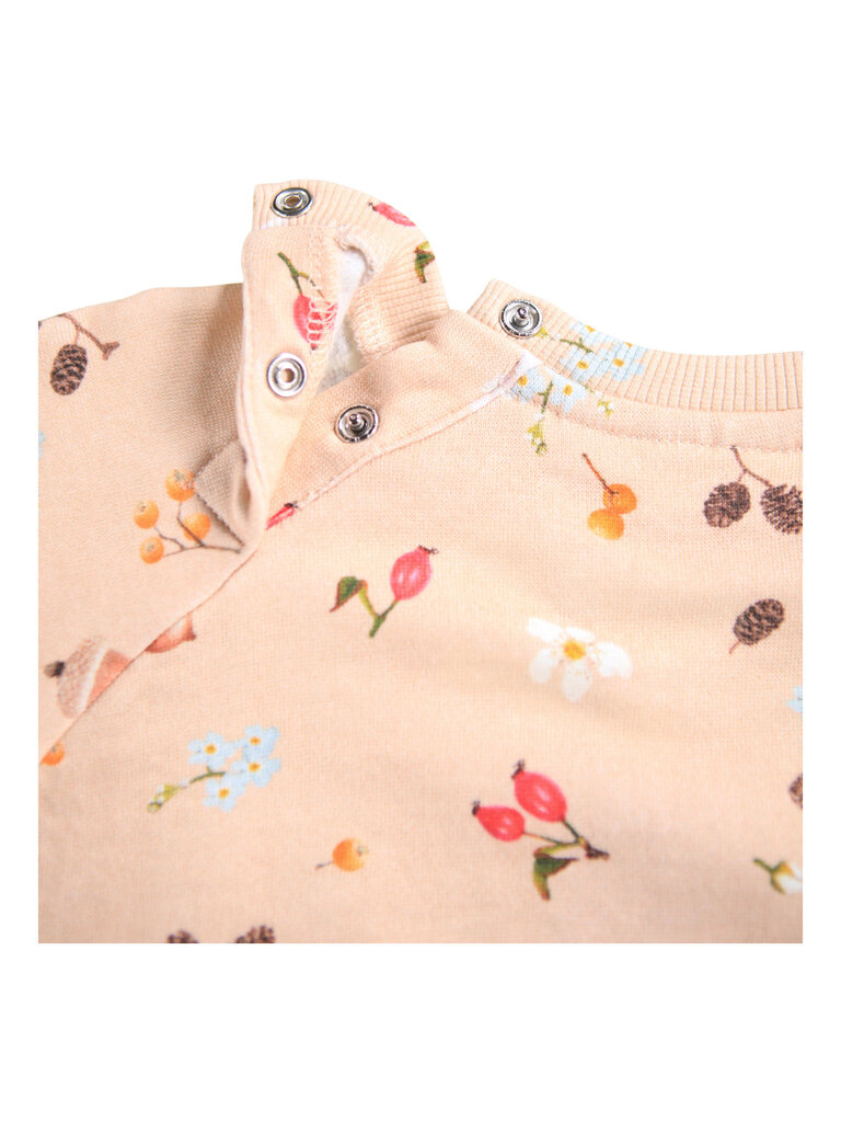 Molo Foraging Rose Set