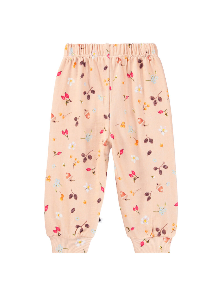 Molo Foraging Rose Set