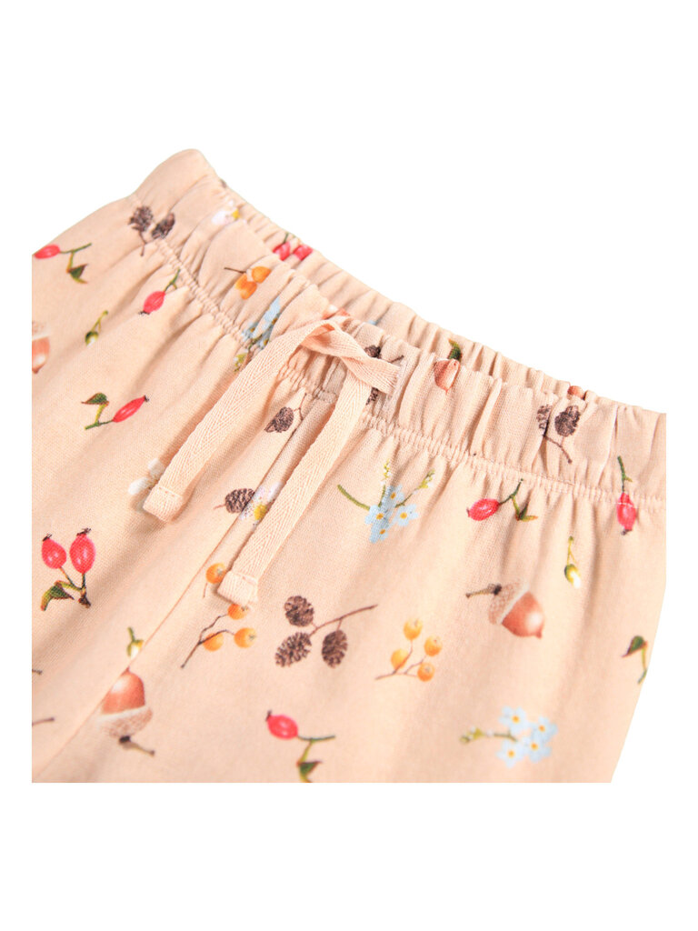 Molo Foraging Rose Set