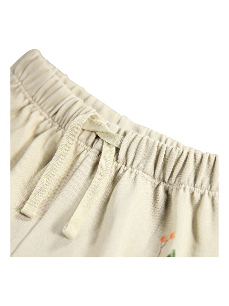 Molo Forest Bunny Set