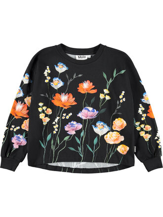 Molo Reniza - Flower Picking Molo Reniza - Flower Picking