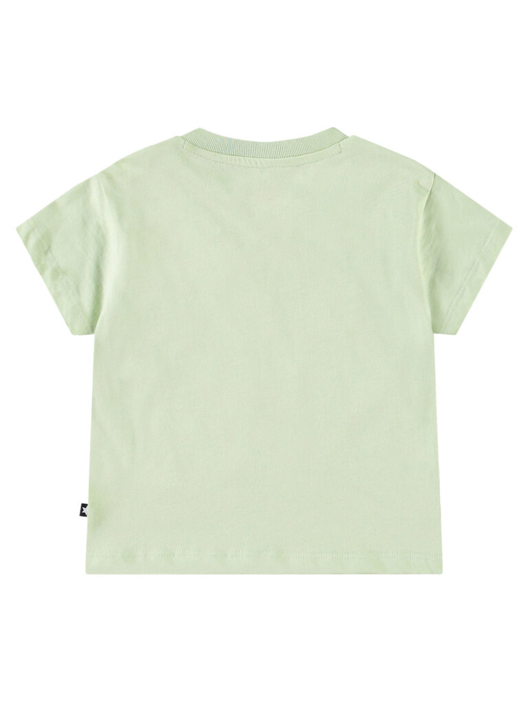 Molo Enzo - Misty Green