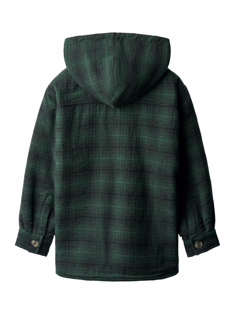 Molo Hamelo - Pine Check