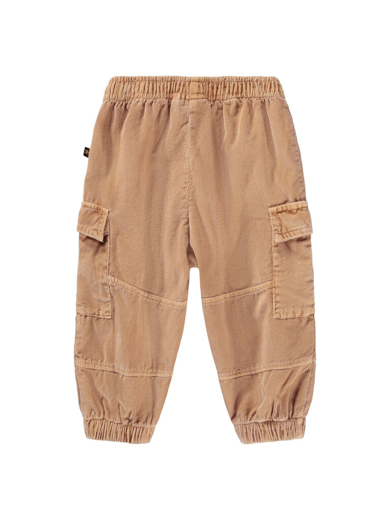 Molo Sae - Pomeranian