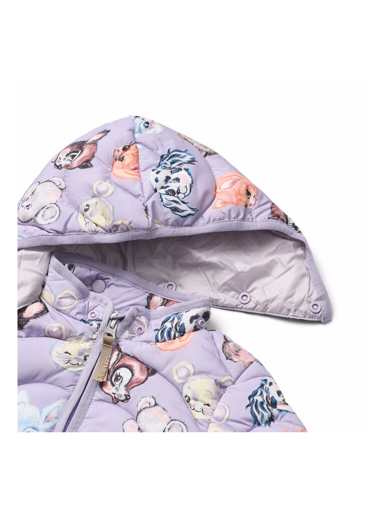 Molo Harmony - Itty Bitty Purple