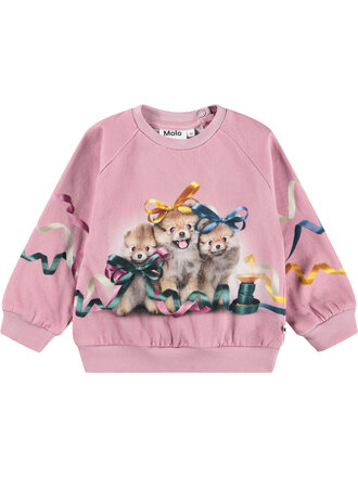 Molo Disc - Ribbon Play