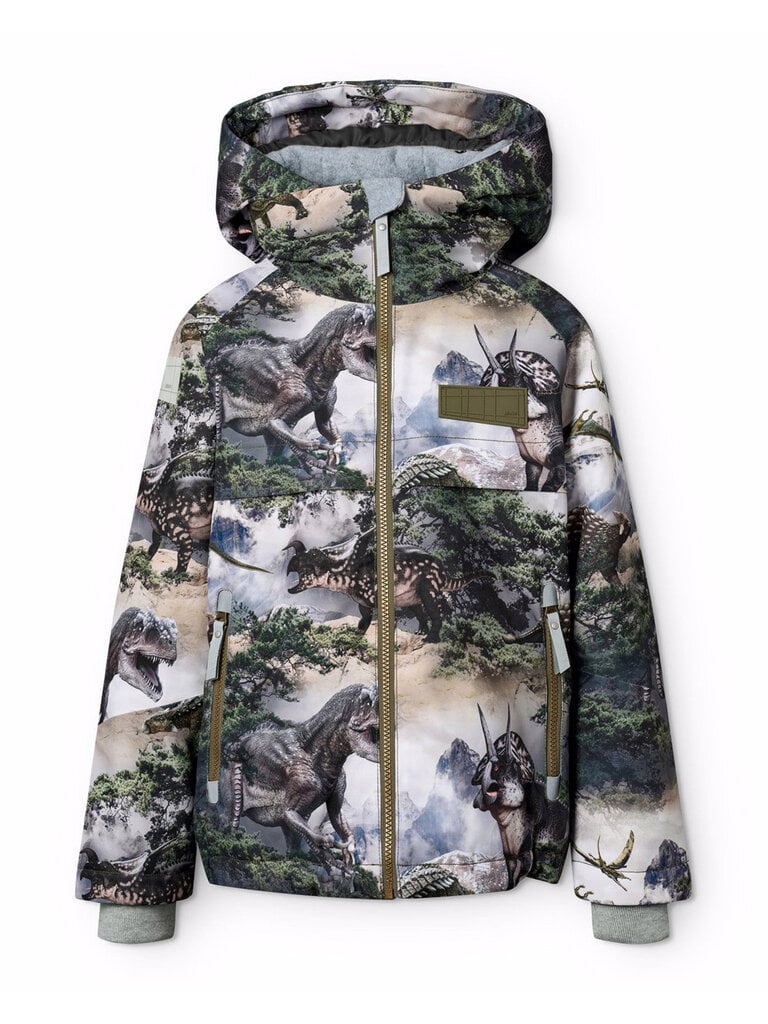 Molo Castor - Rocky Dino