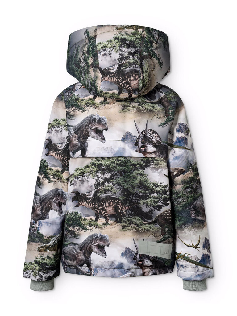 Molo Castor - Rocky Dino