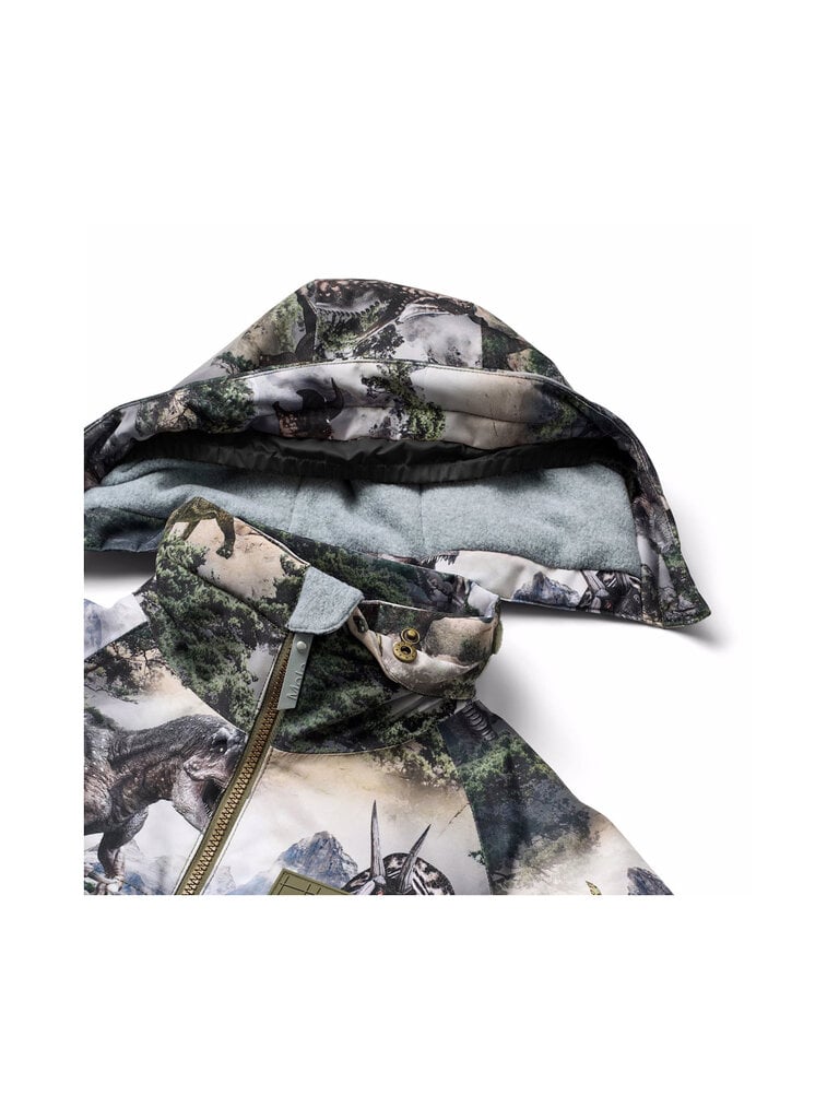 Molo Castor - Rocky Dino