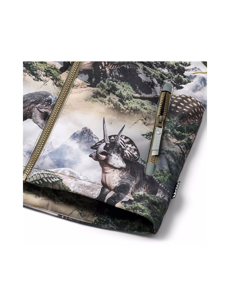 Molo Castor - Rocky Dino