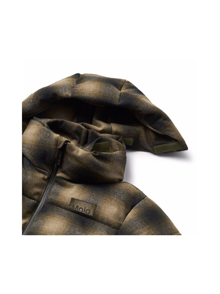 Molo Hilo - Bark Check
