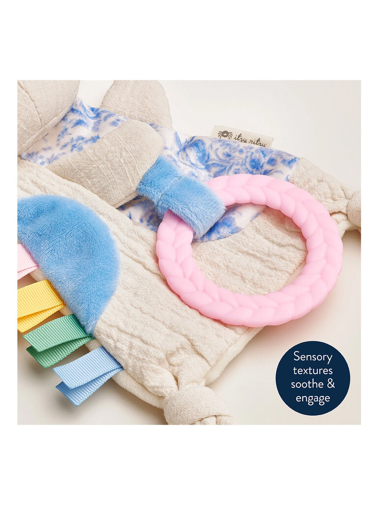 itzy ritzy Kitty Bitzy Crinkle