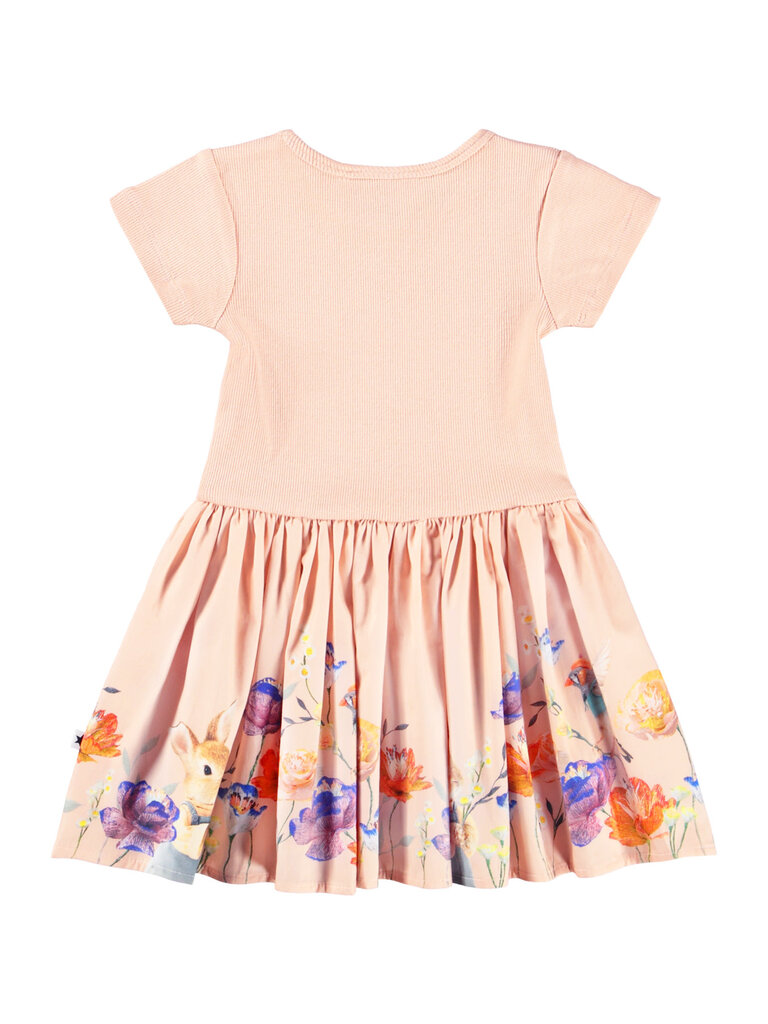 Molo Carin - Rosey Bunny