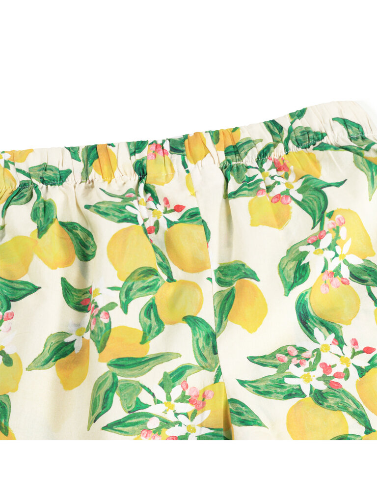 Molo Aretha - Citrus