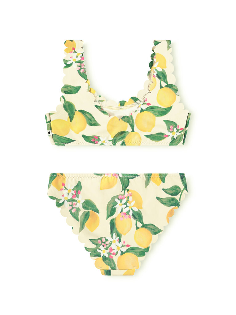 Molo Nolina - Citrus