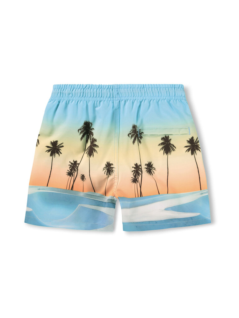 Molo Niko - Sunrise Skate