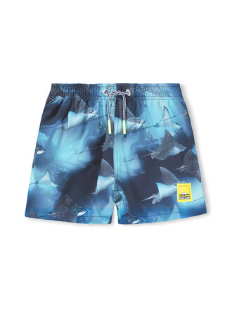 Molo Niko - Into The Blue