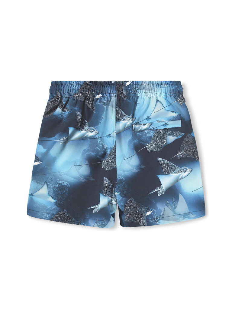 Molo Niko - Into The Blue