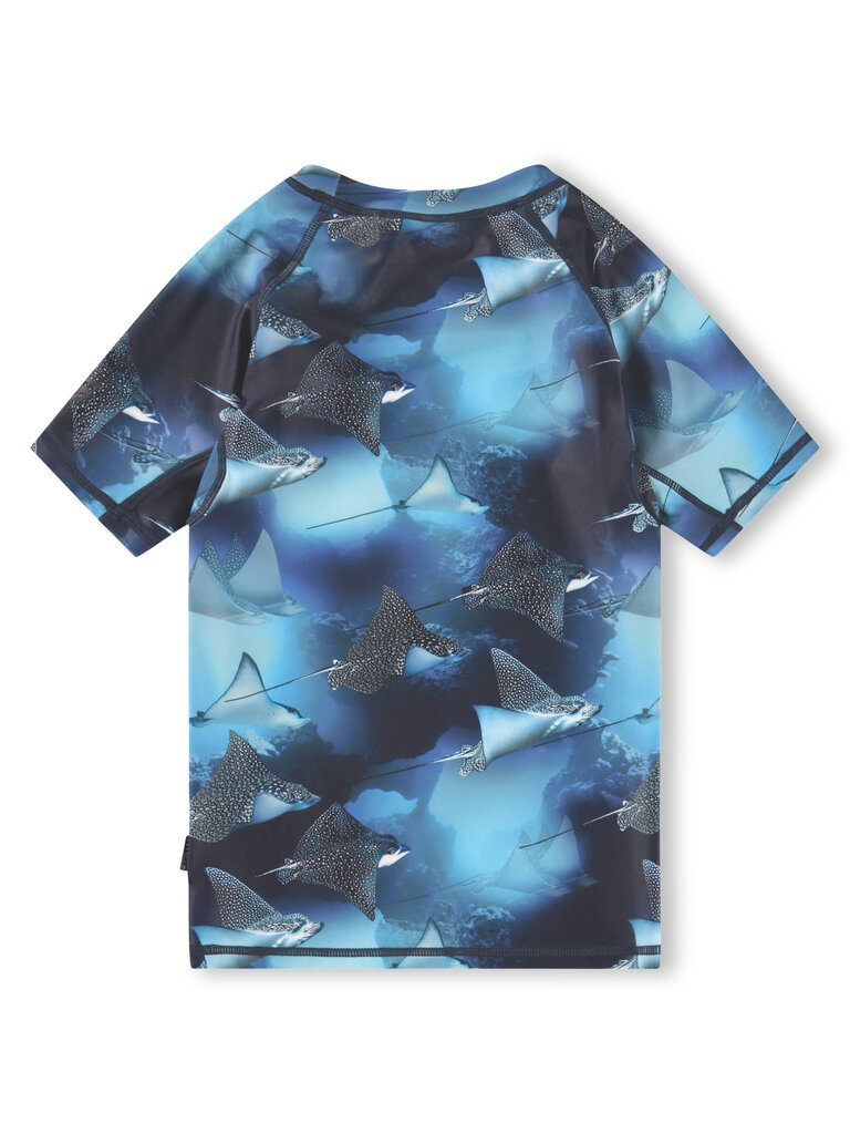 Molo Neptune - Into The Blue