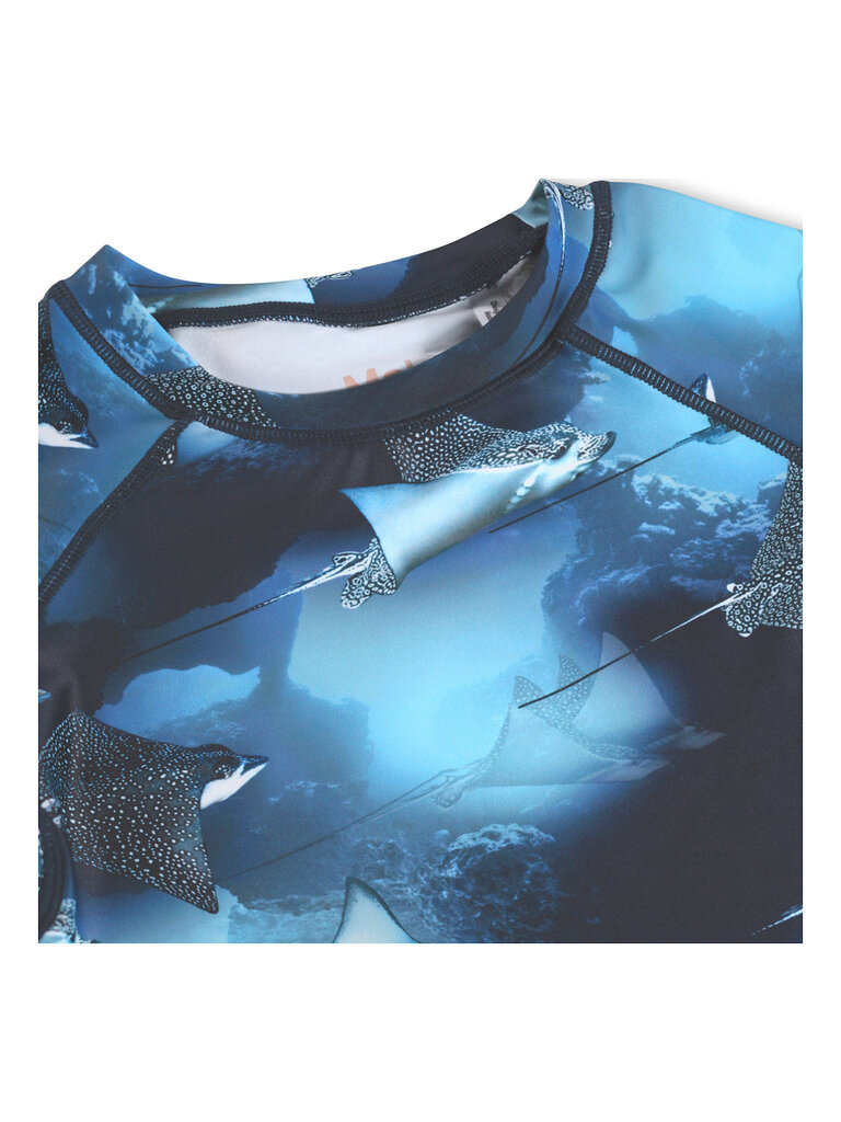 Molo Neptune - Into The Blue