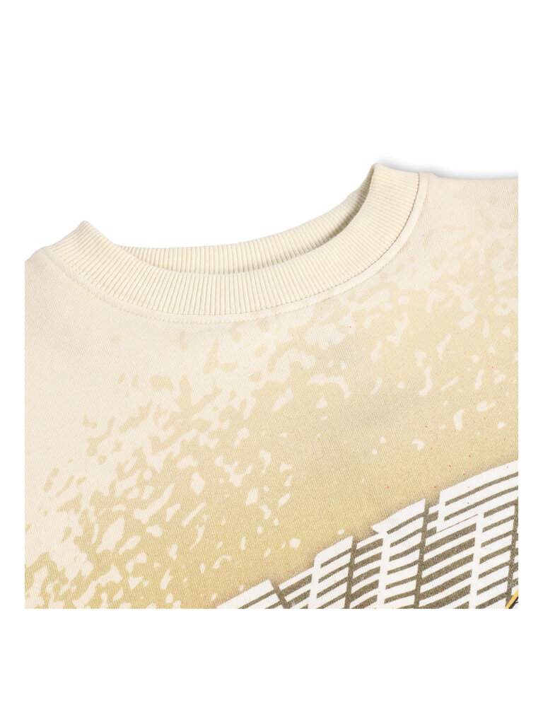 Molo Monti - Car Race