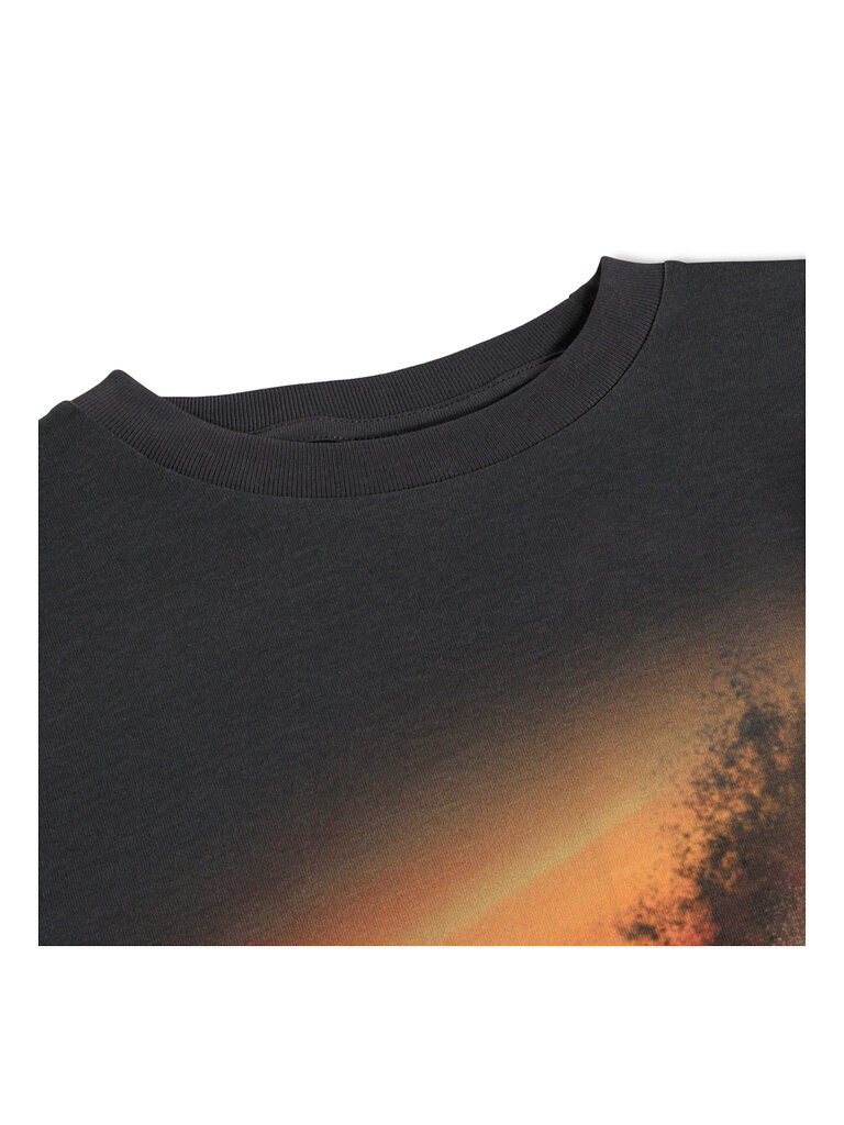 Molo Rube - Beach Race Dark