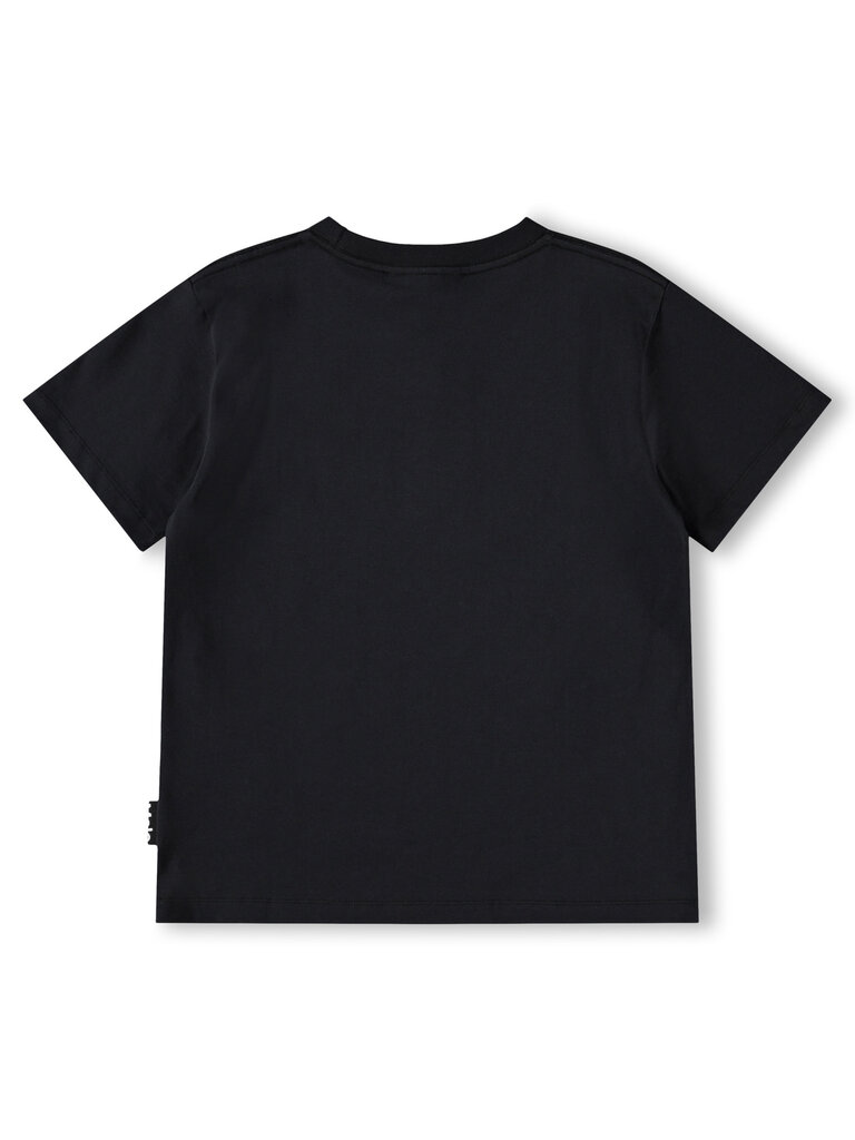 Molo Riley - Bass Guitars