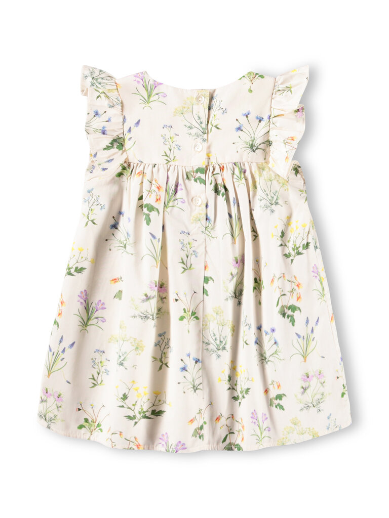 Molo Cacao - Primavera