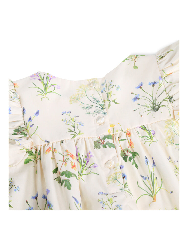 Molo Cacao - Primavera