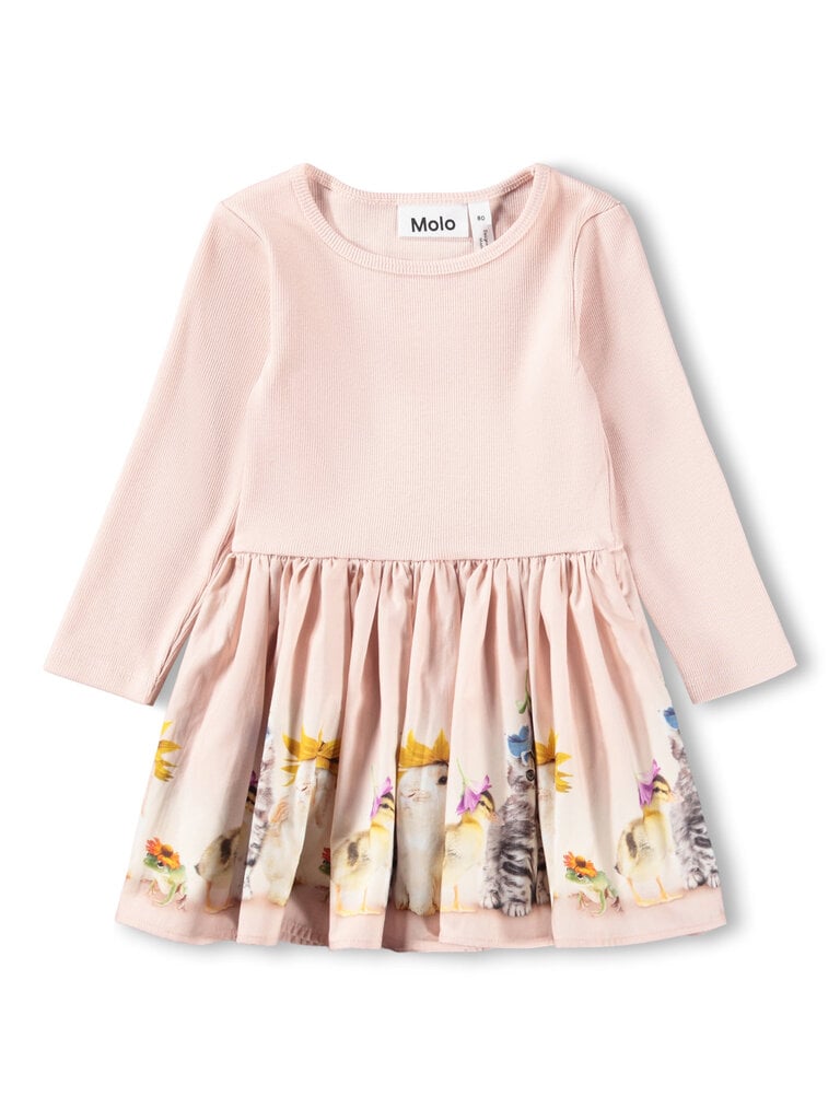 Molo Candi - Funny Bunnies