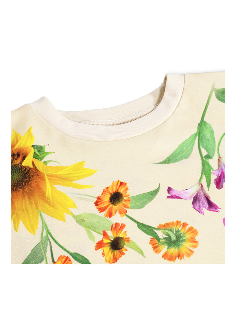 Molo Reniza - Rainbow Flora