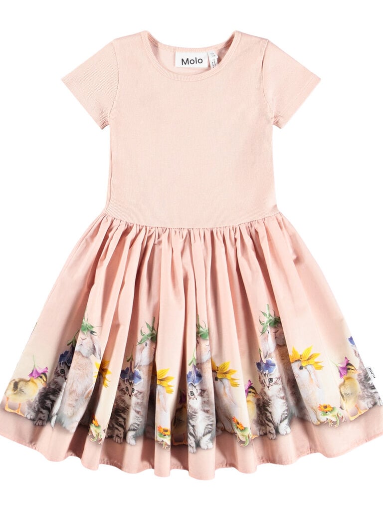 Molo Cissa - Photobooth