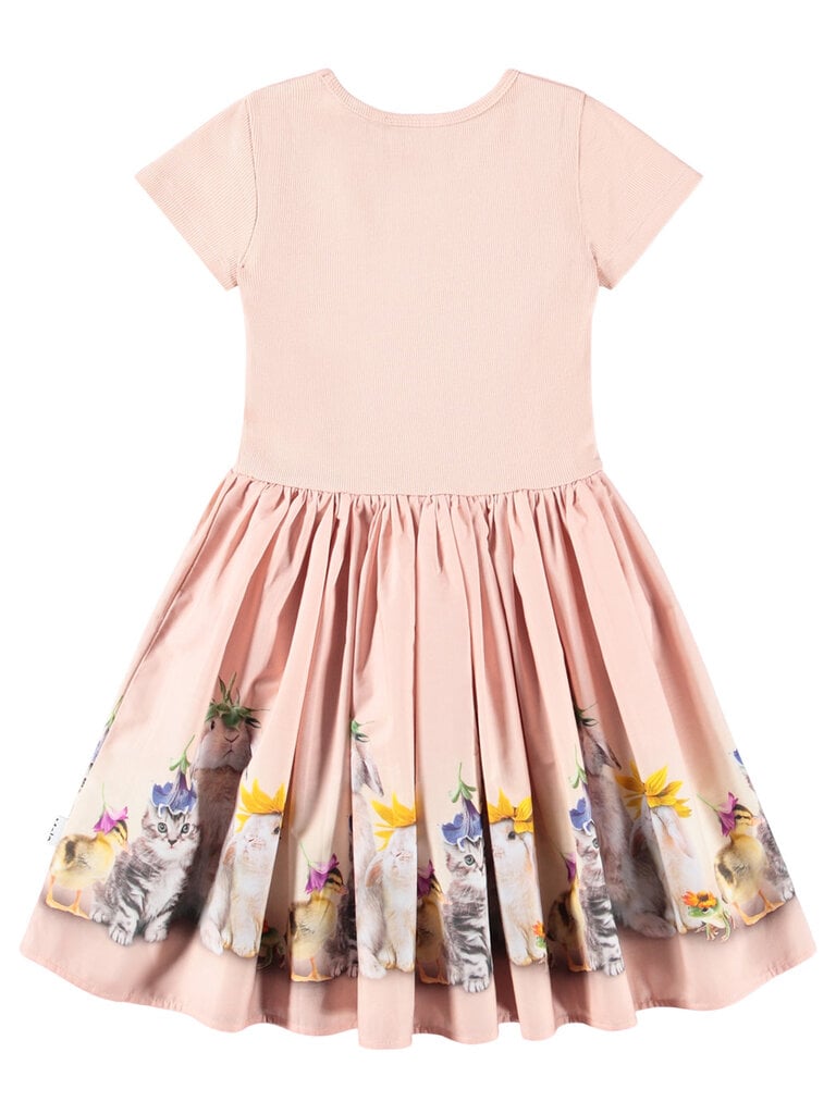 Molo Cissa - Photobooth