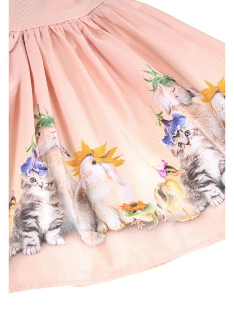 Molo Cissa - Photobooth