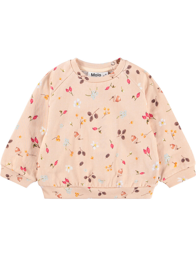 Molo Foraging Rose Set