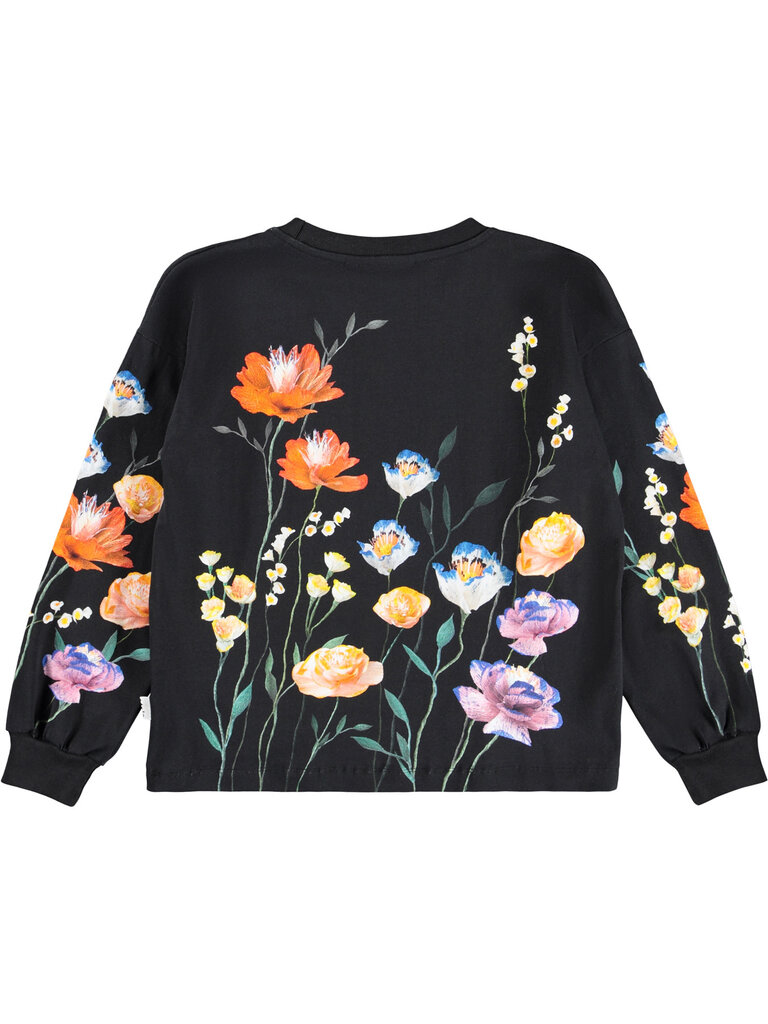 Molo Reniza - Flower Picking