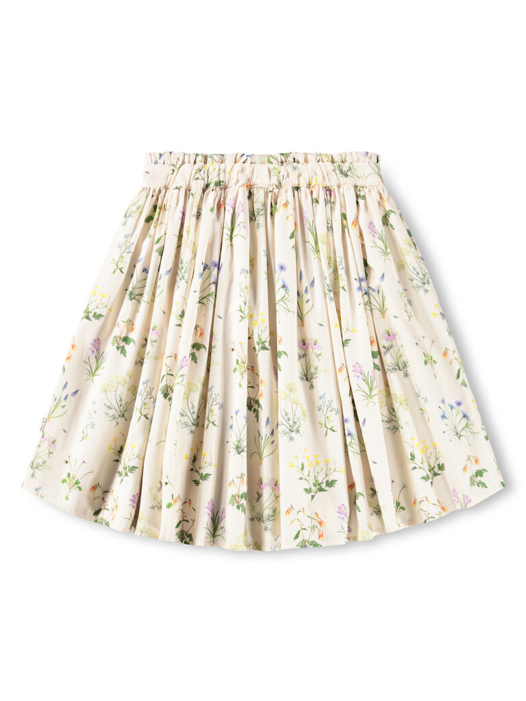 Molo Bev - Primavera