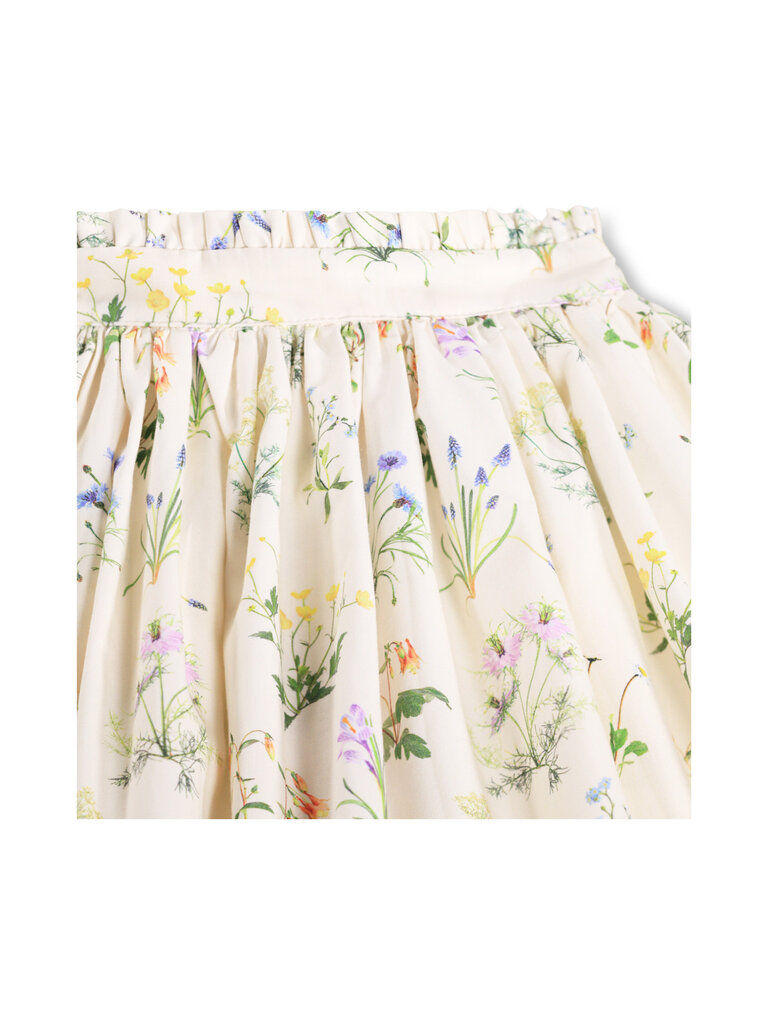 Molo Bev - Primavera