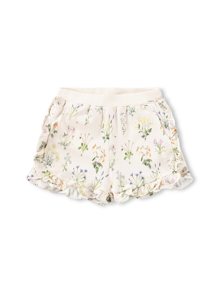 Molo Acacia - Primavera