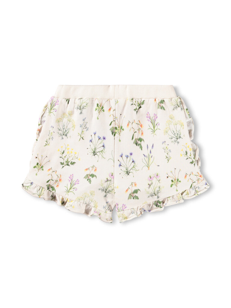 Molo Acacia - Primavera