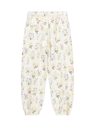 Molo Adan - Primavera