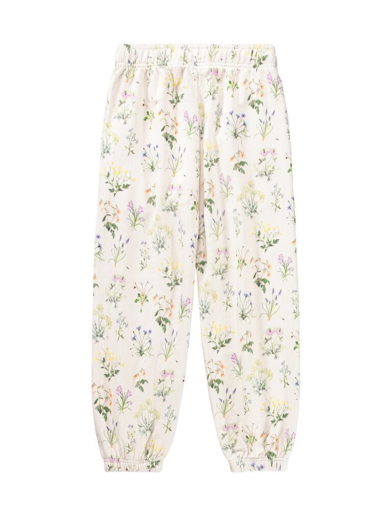 Molo Adan - Primavera