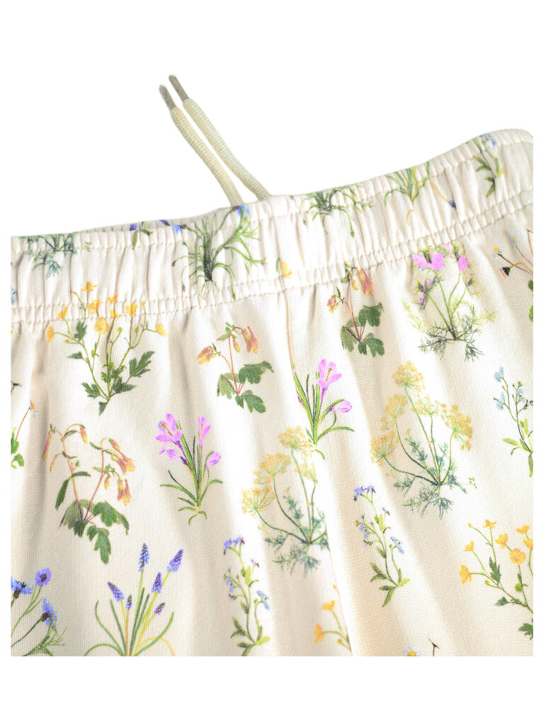 Molo Adan - Primavera