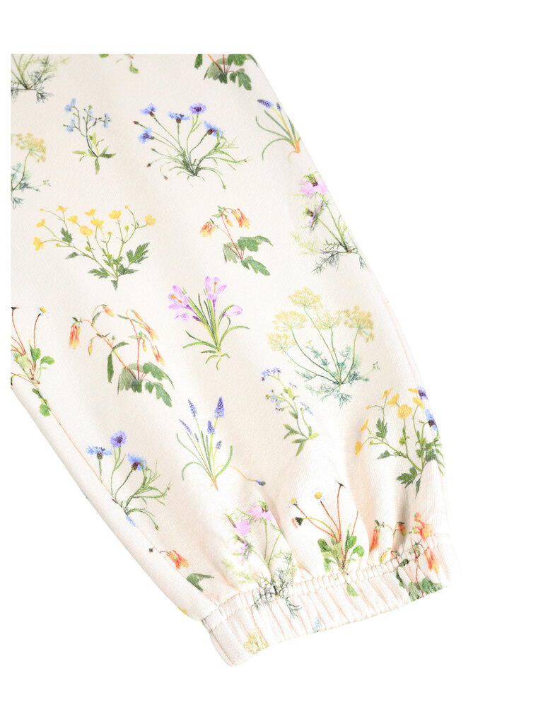 Molo Adan - Primavera